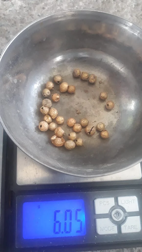 உத்தரமேரூர் கோவிலில் கிடைத்த தங்கப்புதையல்
