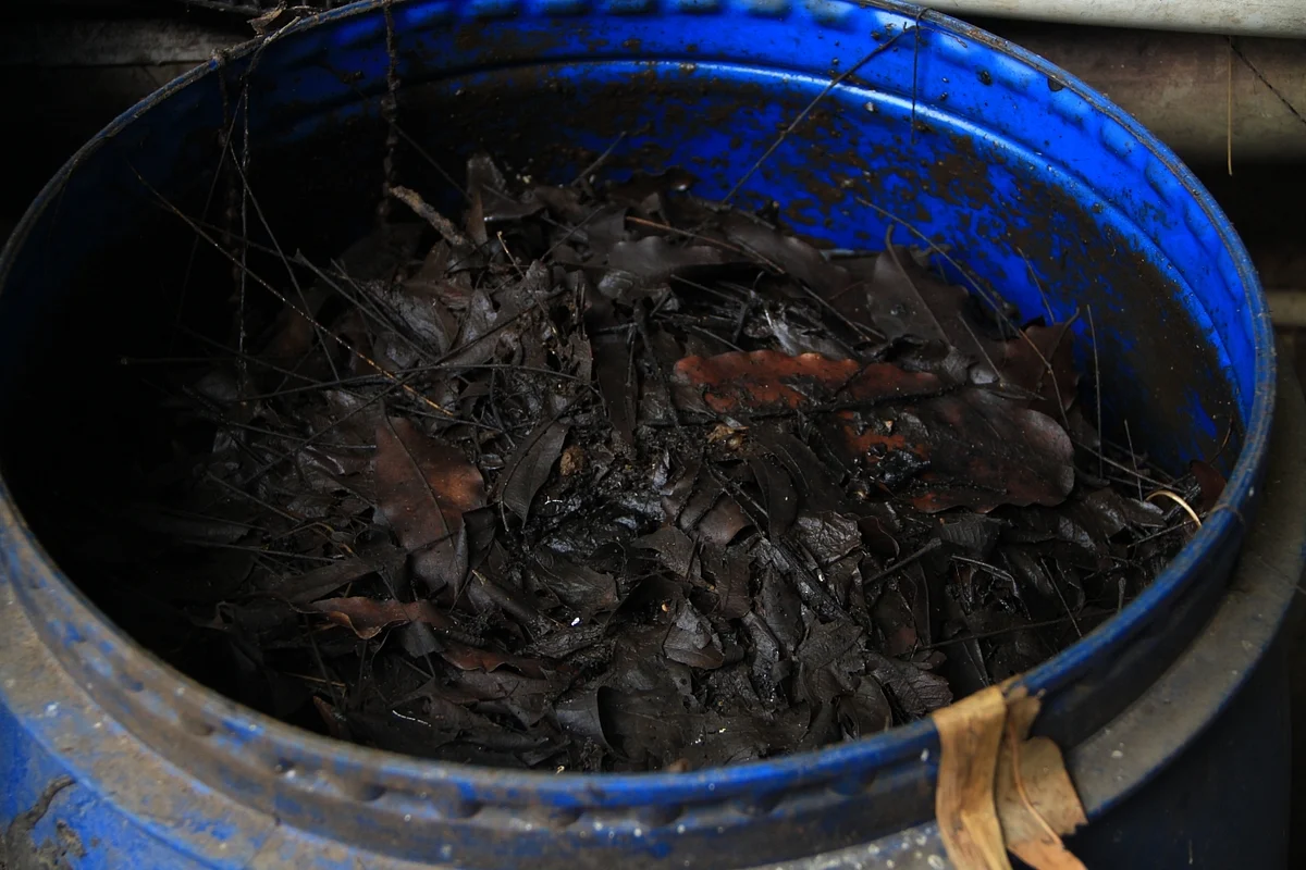 Waste