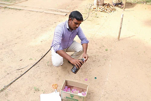 ‘வந்தாச்சு... இயற்கை விரட்டி!’ - காட்டுப்பன்றிகளைக் கட்டுப்படுத்தும் புதிய கண்டுபிடிப்பு!