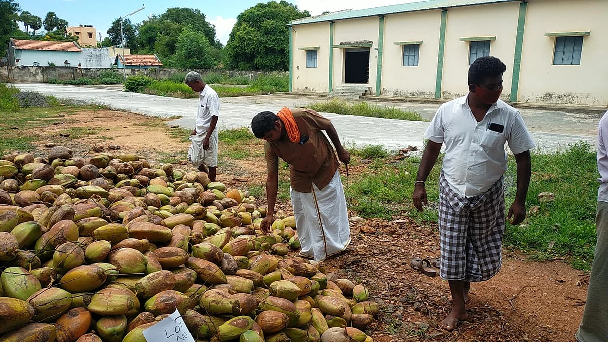 தேங்காய் ஏலம்