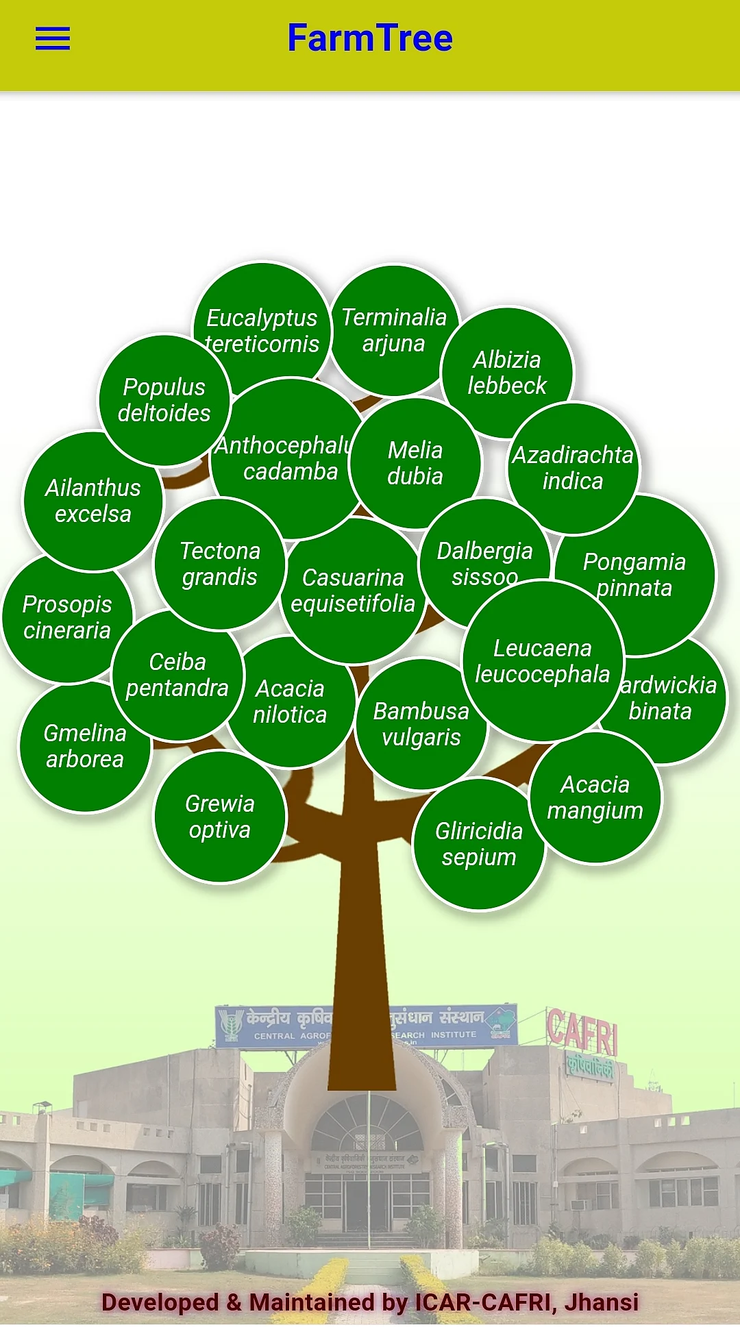 Farm Tree