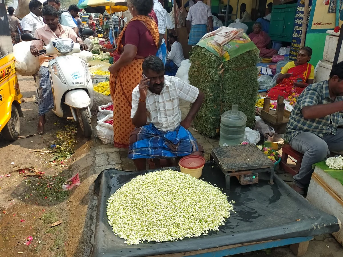 மல்லிகைப் பூ