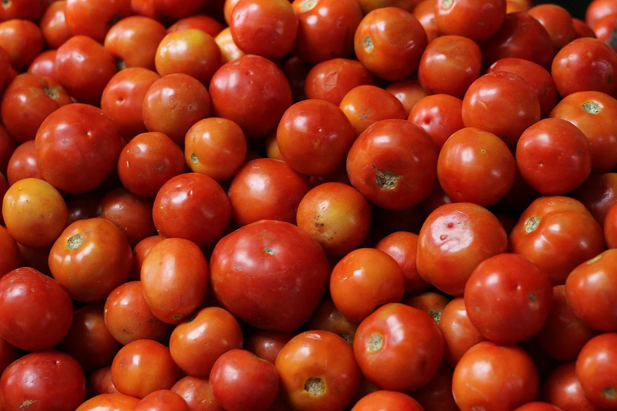 Tomato