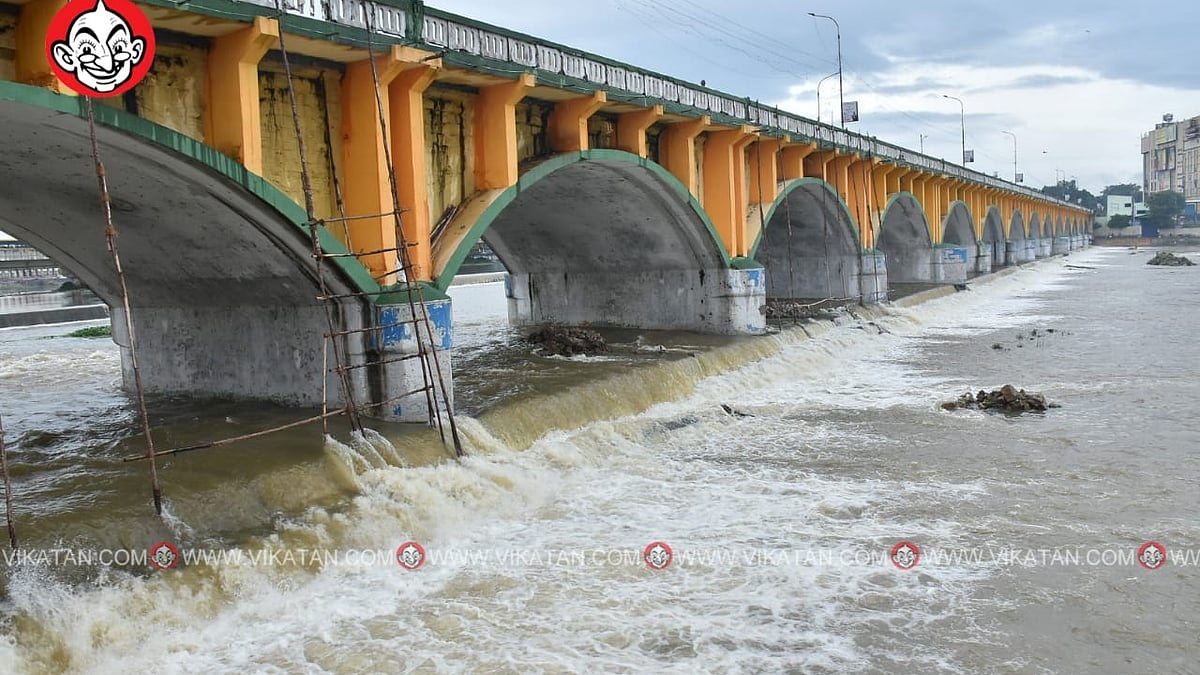 மதுரை ஏவி பாலம்