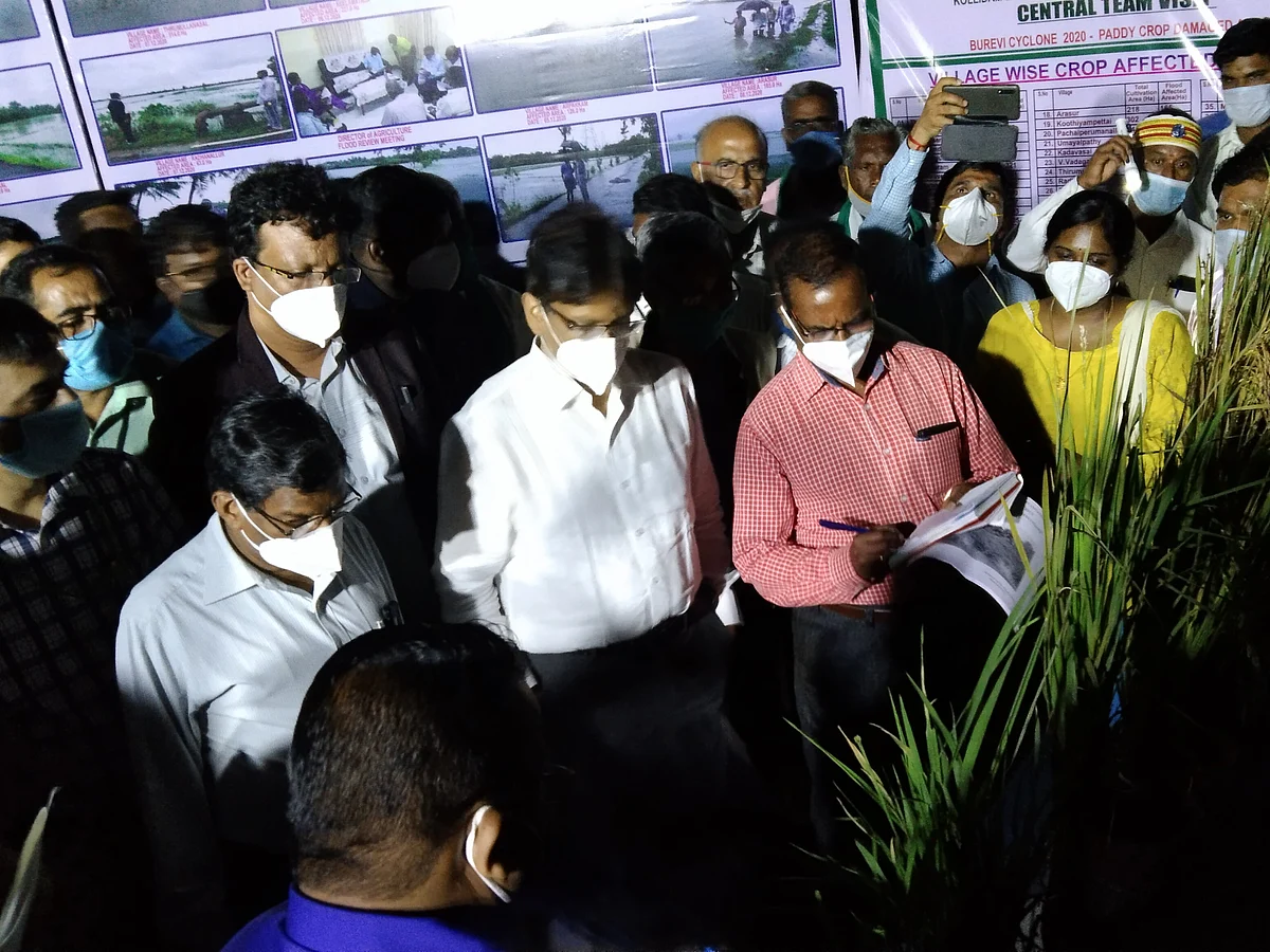 நாகப்பட்டினம்: `ஏக்கருக்கு ரூ.30,000 நிவாரணம்!’ - மத்திய குழுவிடம் விவசாயிகள் கோரிக்கை