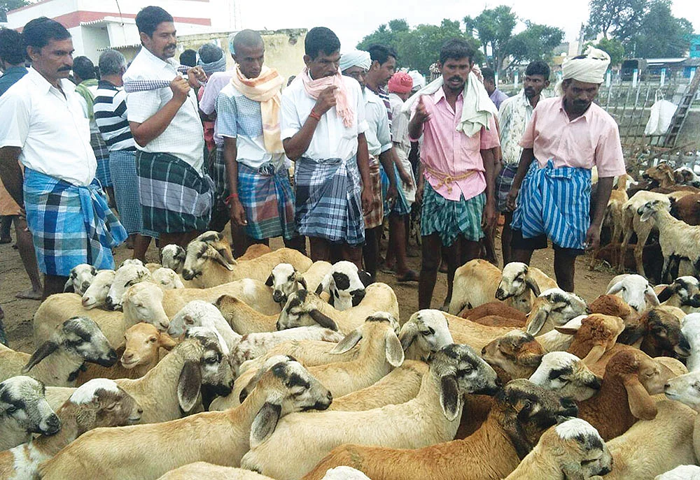 புதிய பகுதி : ஊசி முதல் ஃபர்னிச்சர் வரை தூள் கிளப்பும் தூத்துக்குடி மார்க்கெட்! - உங்கள் ஊர் சந்தை