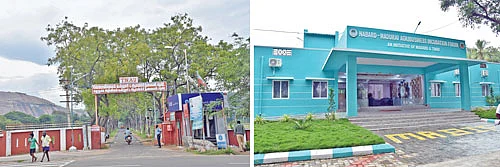 சாணம் கொடுக்கும் வெகுமதி! பயிற்சி அளிக்கும் தொழுவம்!
