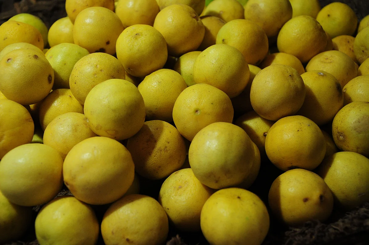 Lemon