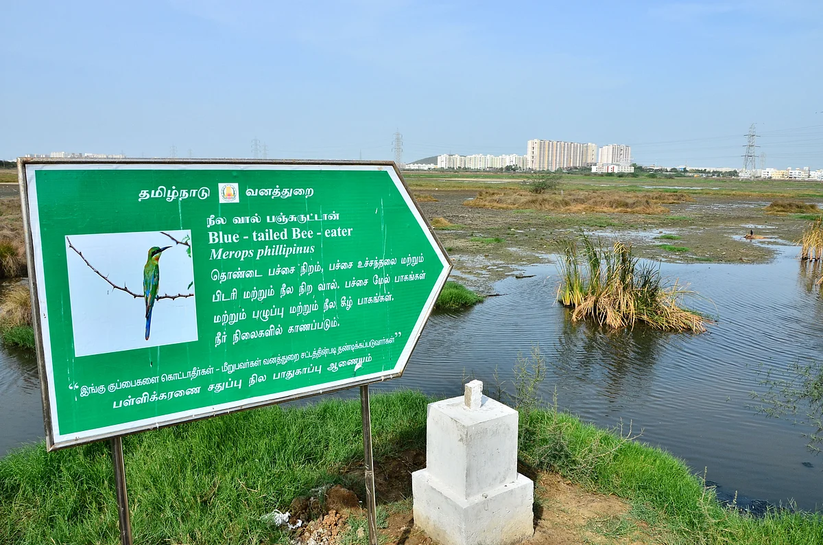 Pallikaranai