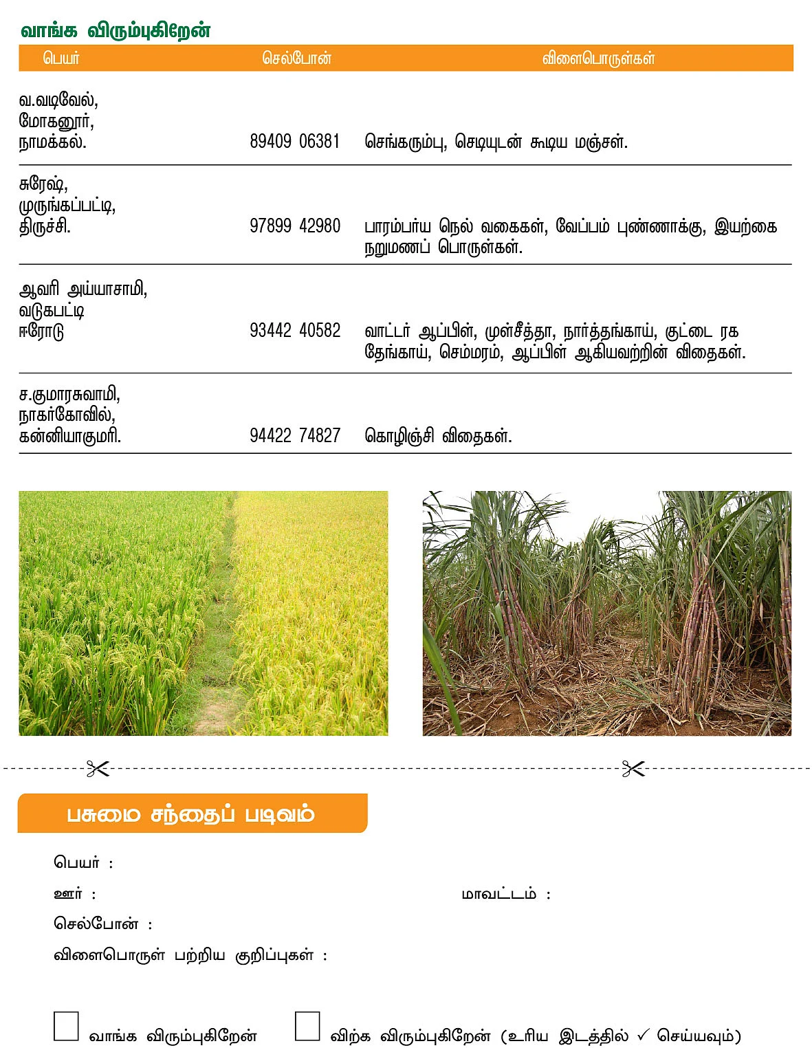 பசுமை சந்தை