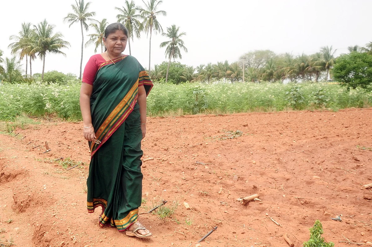 பாலபாரதி