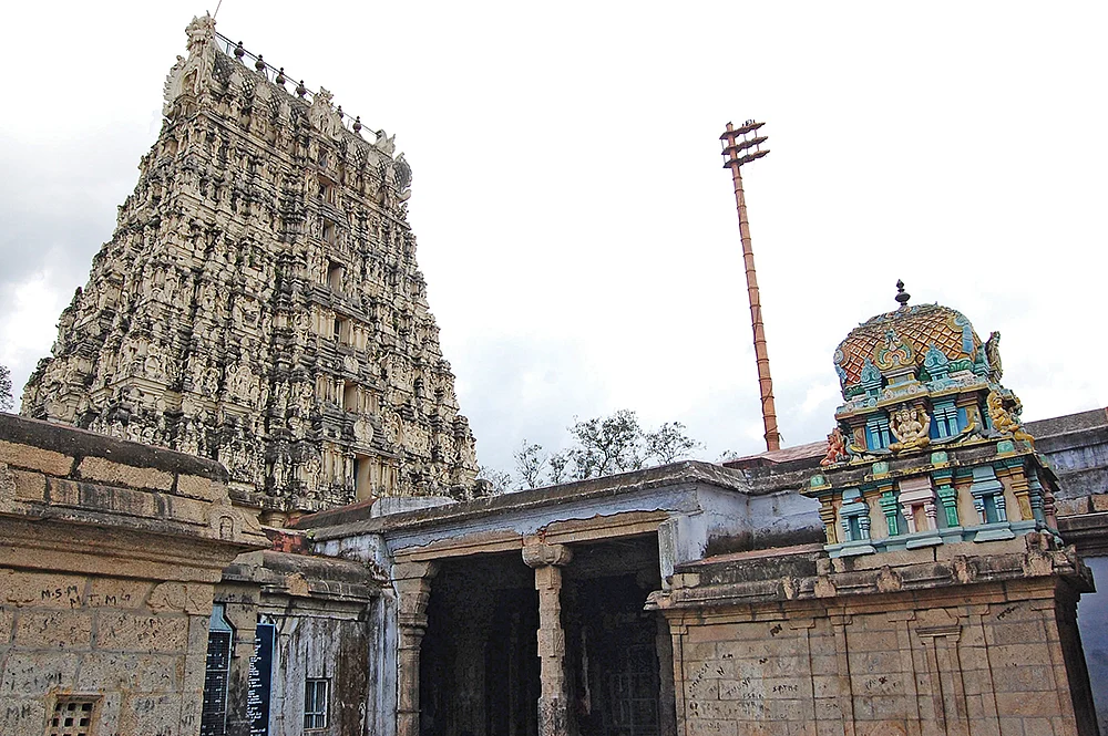 நாரதர் உலா: பரிகார பூஜைகள் எப்போது தொடங்கும்!