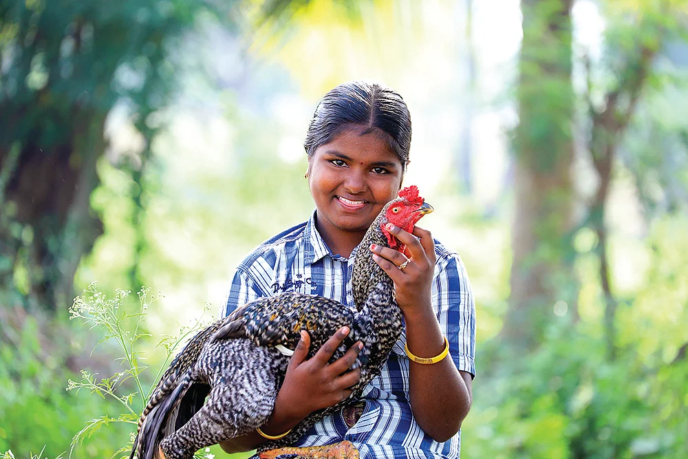 சொல்வனம்...