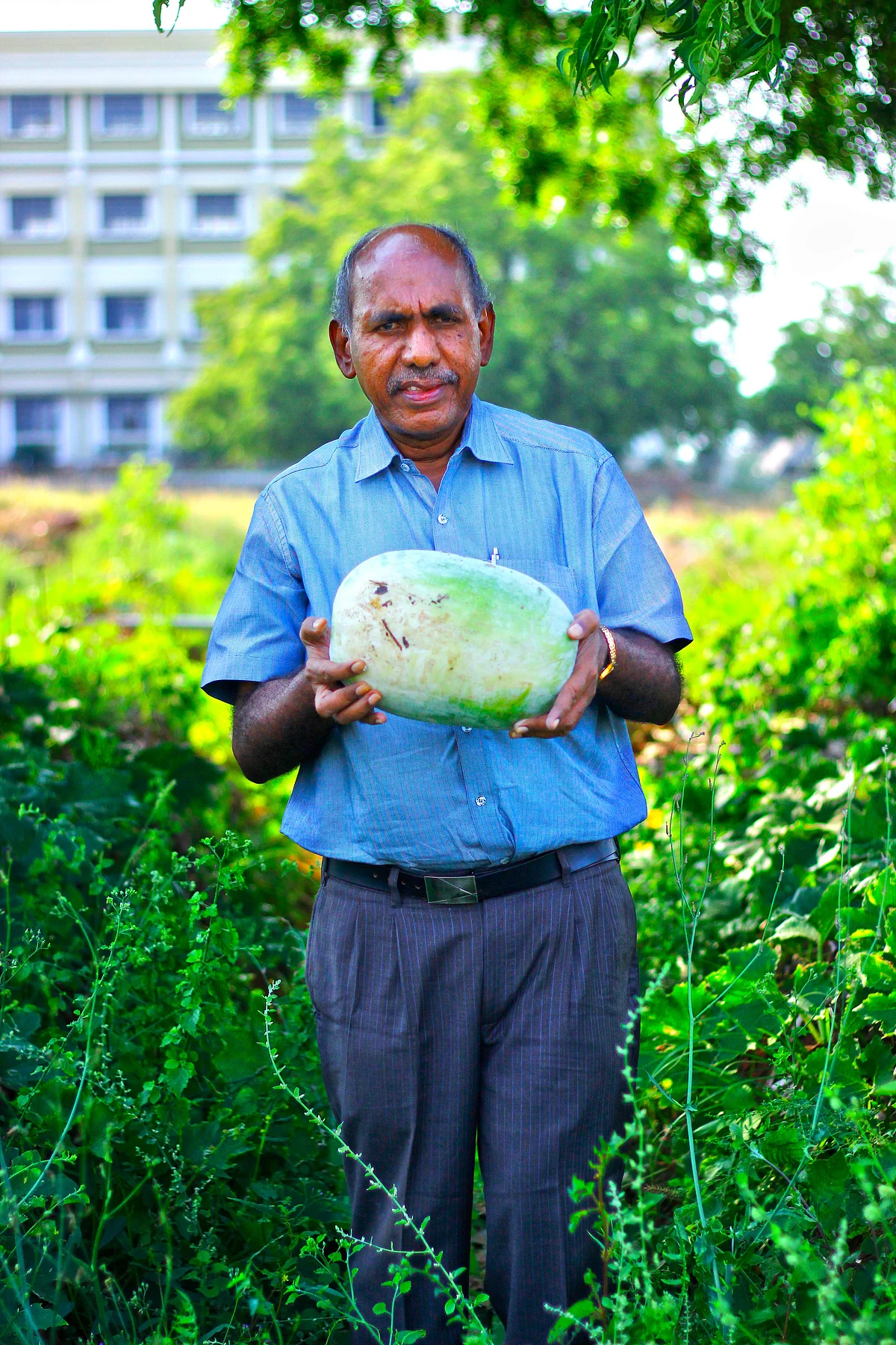 காய்கறியோடு செங்குட்டுவன்