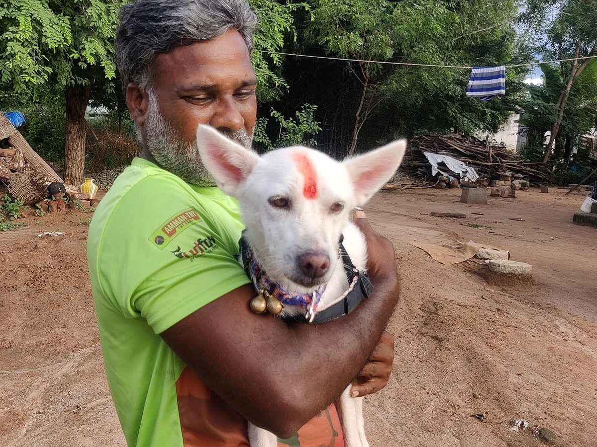 தானாக கடைக்குப் போய் வரும் ஆச்சர்ய நாய்... `நாலு கால் தேவதை' சீனுவும் விவேகானந்தனும் #Video