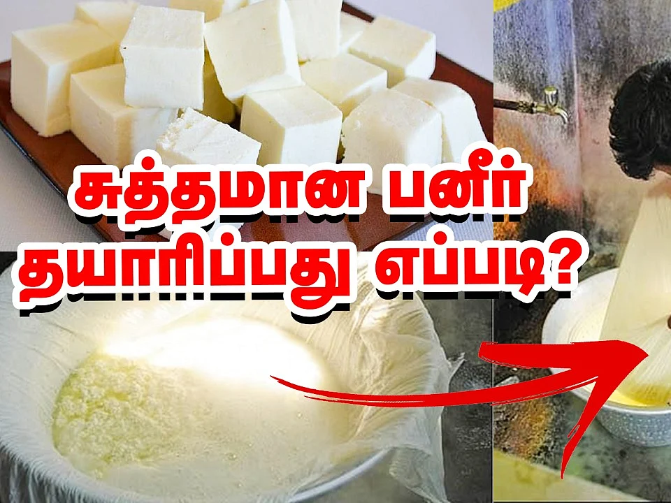 சுத்தமான பனீர் தயாரிப்பது எப்படி? | How to Make Paneer