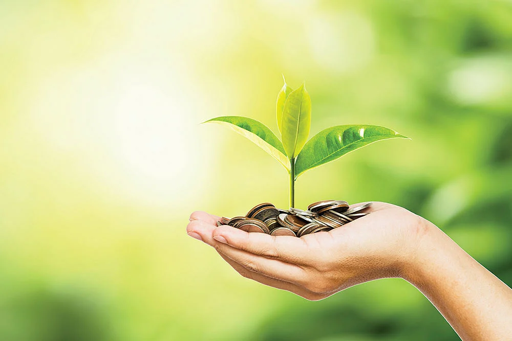 மியூச்சுவல் ஃபண்ட் 2020... துணிந்தவர்கள் ஜெயித்தனர், ஒதுங்கியவர்கள் இழந்தனர்!