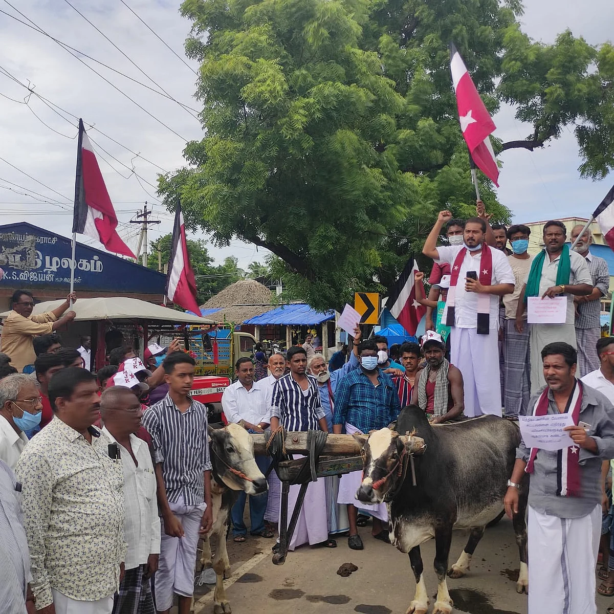 மாட்டுவண்டிகளுடன் ம.ஜ.க. போராட்டம்