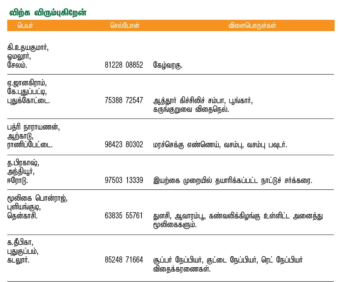 பசுமை சந்தை