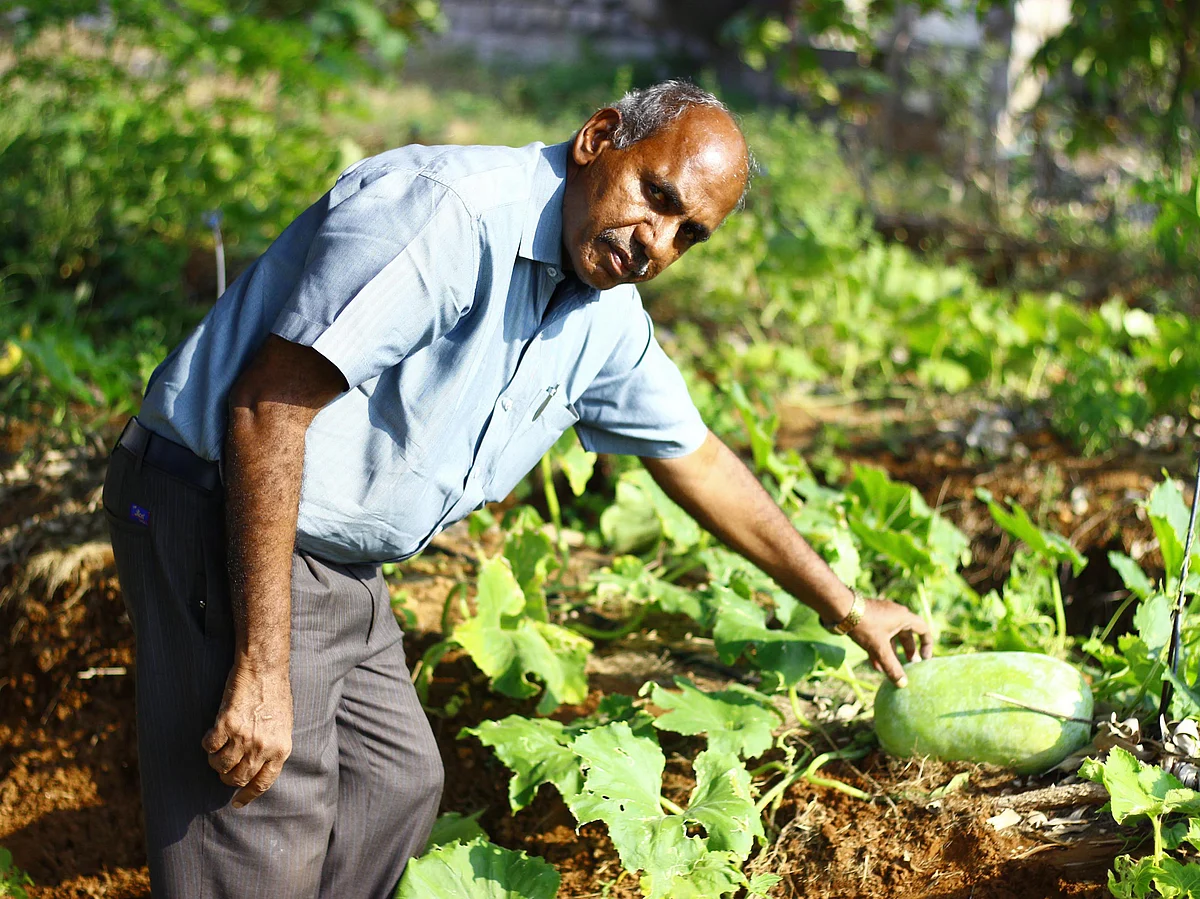 மாணவர்களுக்கு இயற்கை விவசாய விழிப்புணர்வு, கல்லூரியில் 50 சென்ட் தோட்டம்... கலக்கும் தாளாளர்!