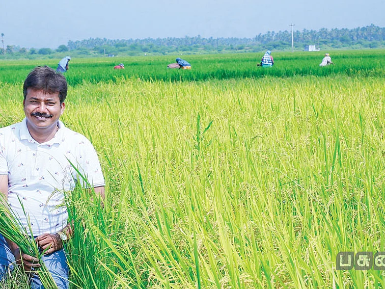 4 ஏக்கர், ரூ. 3,72,000 சொல்லியபடி வருமானம் கொடுக்கும் சொர்ணமசூரி!