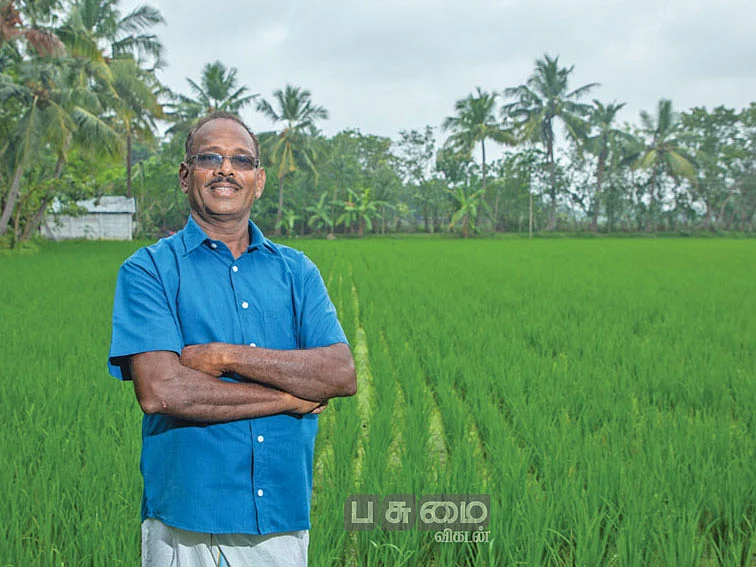 50 சென்ட்... ரூ. 34,000 வருமானம்! பேருந்து நடத்துநரின் நிலக்கடலை சாகுபடி!