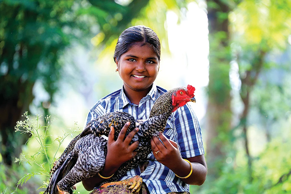சொல்வனம்...