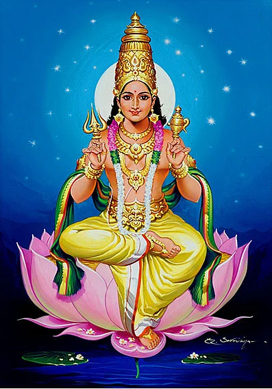 சனிப்பெயர்ச்சி நட்சத்திர பரிகாரங்கள்