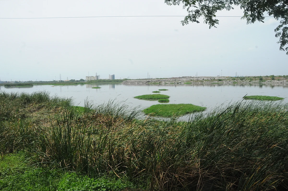 Pallikaranai
