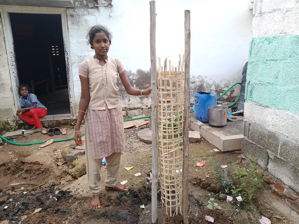 மரக்கன்று வளர்க்கும் திட்டத்தில் மாணவி