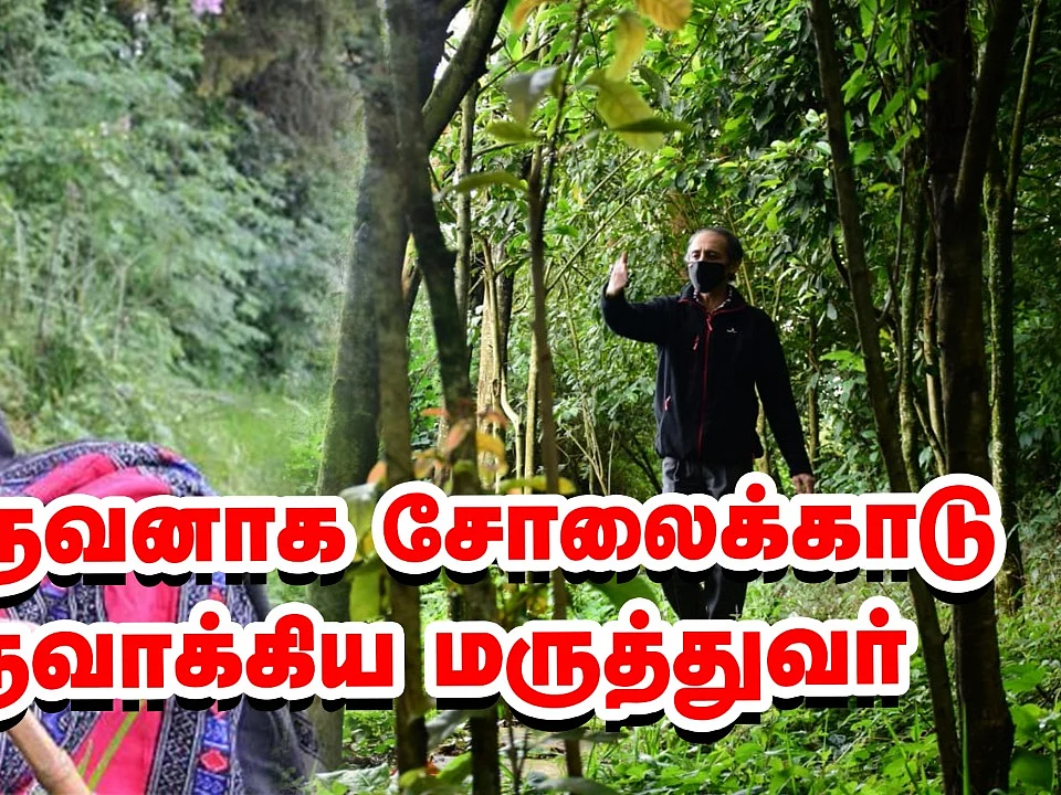 23 சென்ட் நிலத்தில் பழமையான சோலைக்காடு... சாதித்த தனிஒருவன்! #Forest