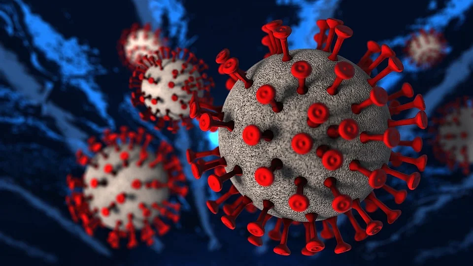 New corona virus