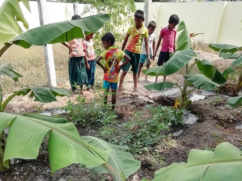 பள்ளியில் காய்கறித் தோட்டம், வீட்டுக்கு வீடு விதை... அசத்தும் அரசுப் பள்ளி தலைமை ஆசிரியை!