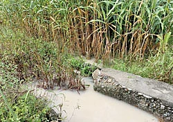மழைநீரில் மூழ்கிய பயிர்கள்... பதைபதைக்கும் விவசாயிகள்!
