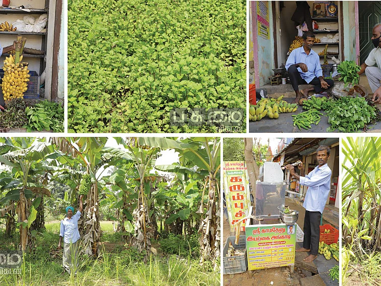 நேரடி விற்பனையில் மாதம் ரூ. 60,000 லாபம்... ‘பலே’ பலபயிர் சாகுபடி!