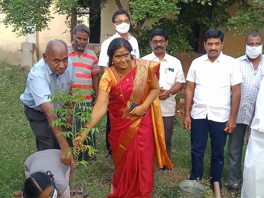 மரக்கன்று நடும்போது