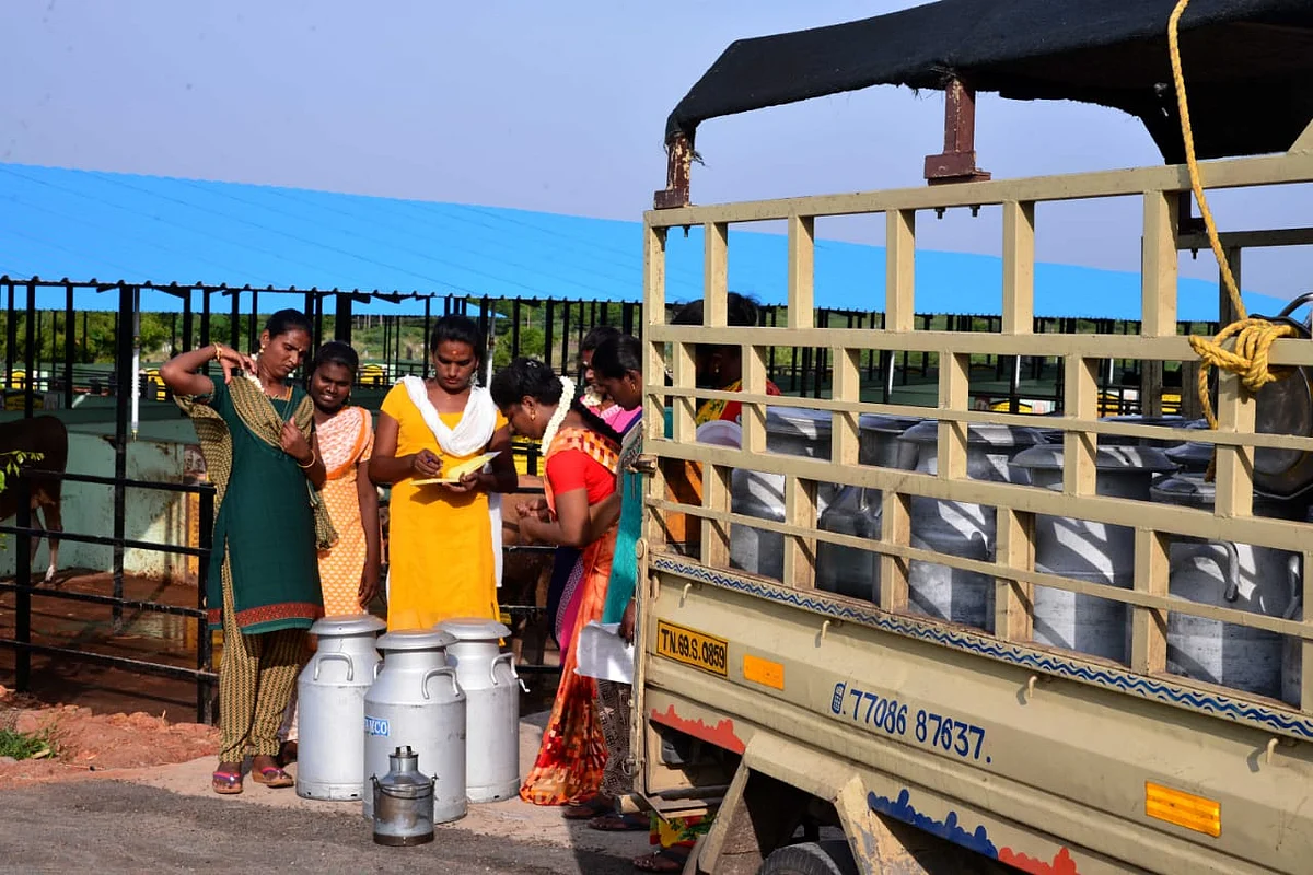 பாலை வண்டியில் ஏற்றும் திருநங்கைகள்