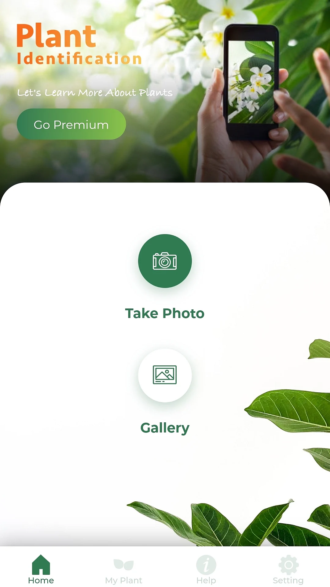 Leaf Snap