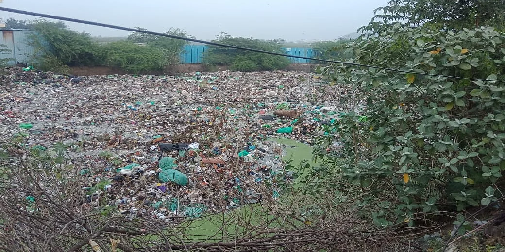 குப்பை கூளங்களாக பல்லாவரம் ஏரி