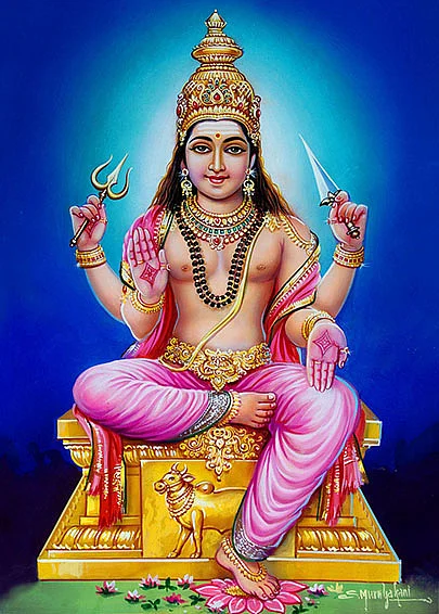 சனிப்பெயர்ச்சி நட்சத்திர பரிகாரங்கள்