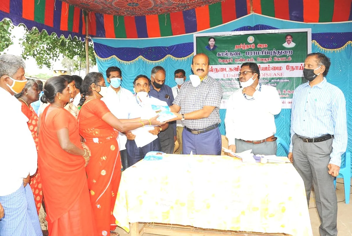 தாது உப்புக்கலவை வழங்கிய மாவட்ட ஆட்சியர்