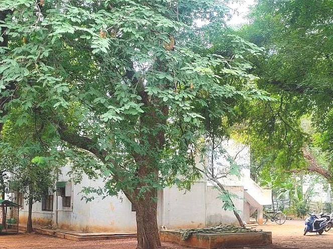 வேலூர்: கணவர் செய்த முறைகேடு! - டி.ஐ.ஜி வீட்டில் அதிரடிகாட்டிய விஜிலென்ஸ்