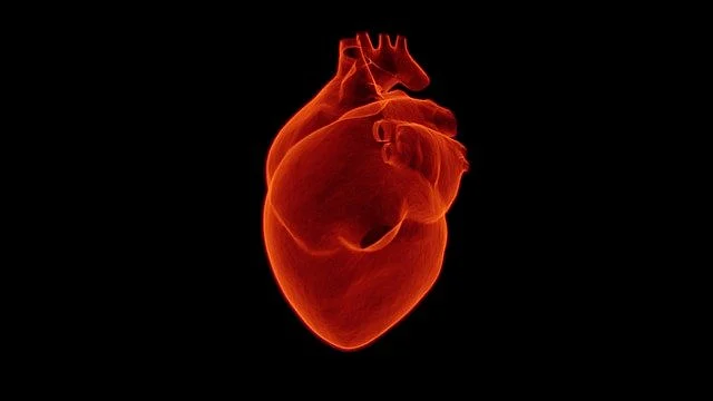 heart