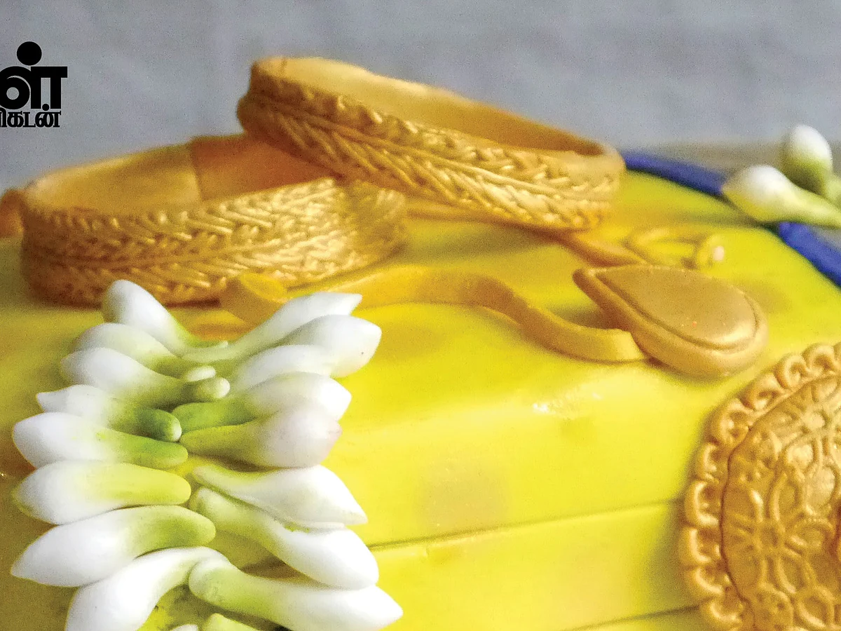 பட்டுச்சேலை, பிரியாணி பிளேட்,
மண் குவாரி... டிசைன் டிசைனா கேக் - தூள்கிளப்பும் திவ்யா