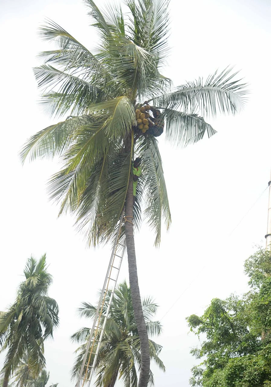 கீழே இறங்கும் தொழிலாளி