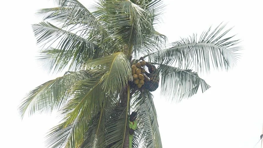 கீழே இறங்கும் தொழிலாளி