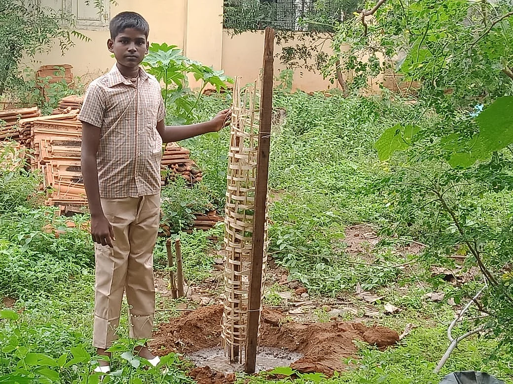 மரக்கன்று வளர்க்கும் திட்டத்தில் மாணவர்