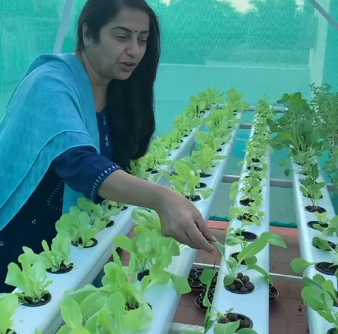 மாடித்தோட்டத்தில் சுஹாசினி