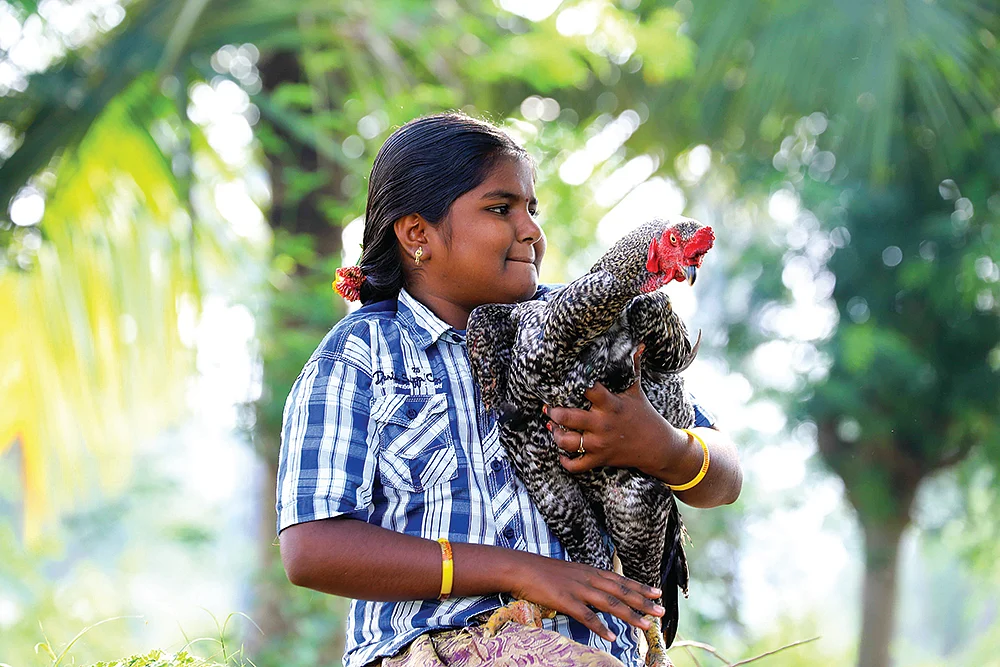 சொல்வனம்...