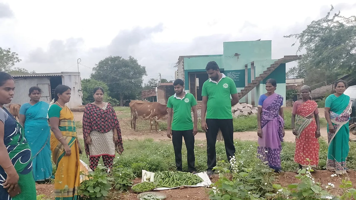 சமுதாயக் காய்கறித் தோட்டம்